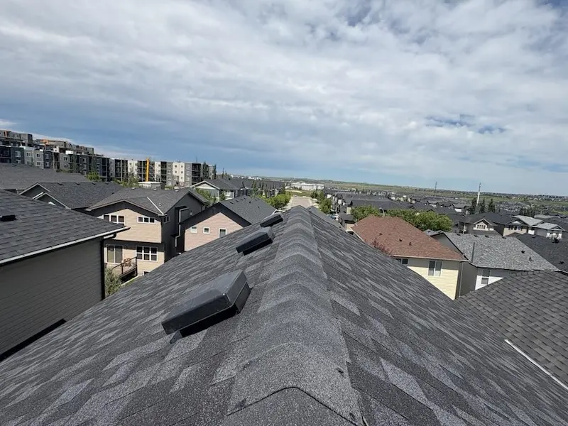 Professional roof replacement by Peakline Roofing & Exteriors featuring dimensional shingles and improved curb appeal in Calgary